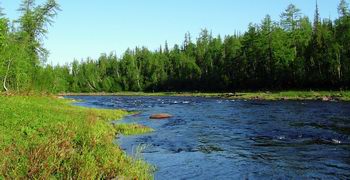Главная страница