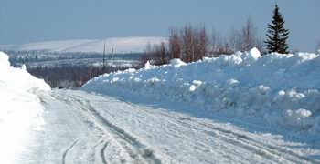 Главная страница