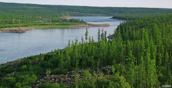 Главная страница