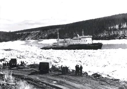 За Полярным кругом весна начинается в июне