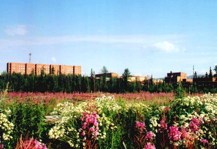 Вот он какой сегодня - красавец-Светлогорск